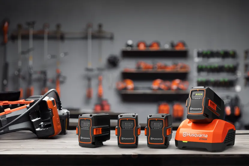 Flexible BLi-X Battery System